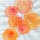 Jon Handel Photography / PICK A VERB / 824
